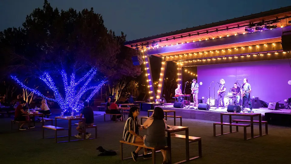 Concerts and Festivals